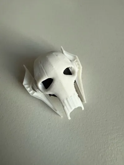 https://makerworld.bblmw.com/makerworld/model/471528/381152/ratings/ed468490-31a2-11f0-84f1-7bda4af433da.jpg