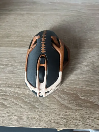 https://makerworld.bblmw.com/makerworld/model/473225/383233/ratings/6eec3eb0-c85f-11f0-b9ba-43a3a75b6c5d.jpg