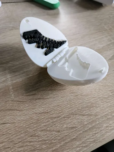 https://makerworld.bblmw.com/makerworld/model/473822/1385918/ratings/8e8d5f30-695d-11f0-8af0-43431b0496a1.jpg