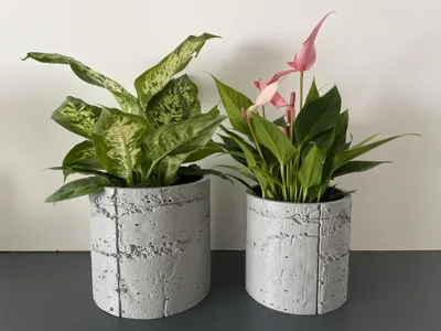 https://makerworld.bblmw.com/makerworld/model/474086/384416/ratings/65c135d0-07ed-11f0-a119-55be96771f3b.jpg