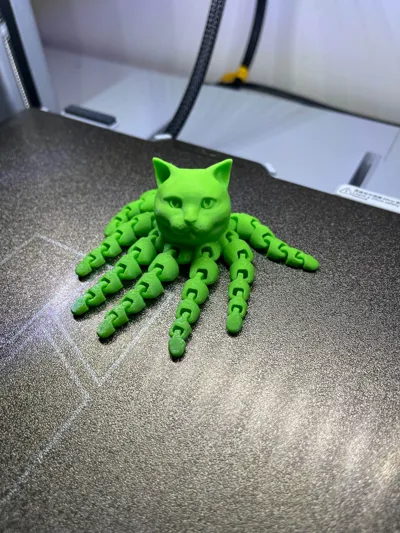 https://makerworld.bblmw.com/makerworld/model/474144/393845/ratings/0c12d230-9b7e-11f0-bb5a-d3b81c648d07.jpg