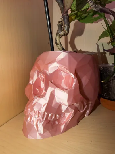 https://makerworld.bblmw.com/makerworld/model/474376/427319/ratings/1e444990-eab4-11f0-a739-49de5b4ef829.jpg