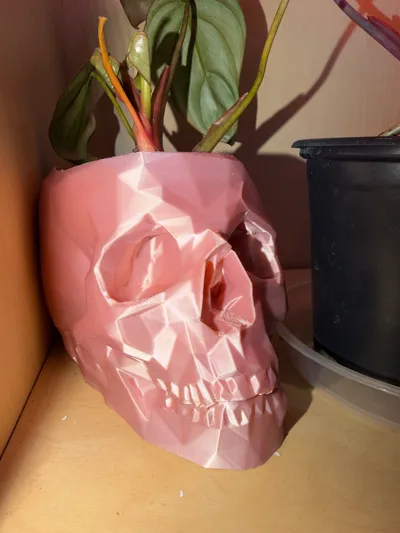 https://makerworld.bblmw.com/makerworld/model/474376/427319/ratings/1e4d9860-eab4-11f0-a739-49de5b4ef829.jpg