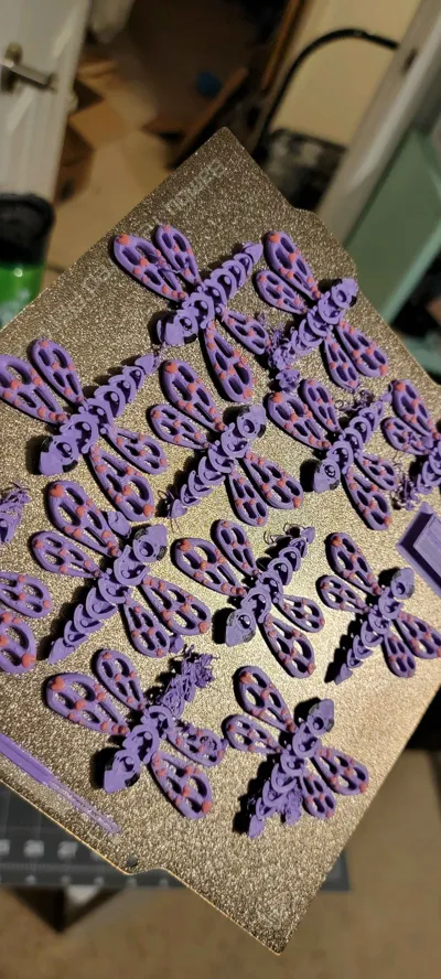 https://makerworld.bblmw.com/makerworld/model/474423/384856/ratings/180eb6a0-9e38-11f0-b8cf-35a38eb9779c.jpg