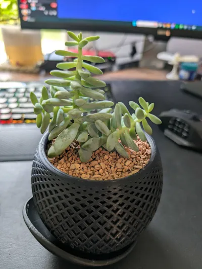 https://makerworld.bblmw.com/makerworld/model/474831/385432/ratings/a2179770-7284-11f0-a02a-0b1c9e765447.jpg