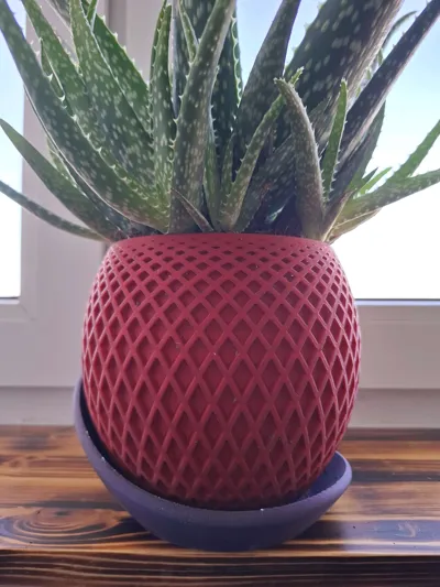 https://makerworld.bblmw.com/makerworld/model/474831/628690/ratings/66bbc6b0-b95b-11f0-b514-6990cad36bb9.jpg