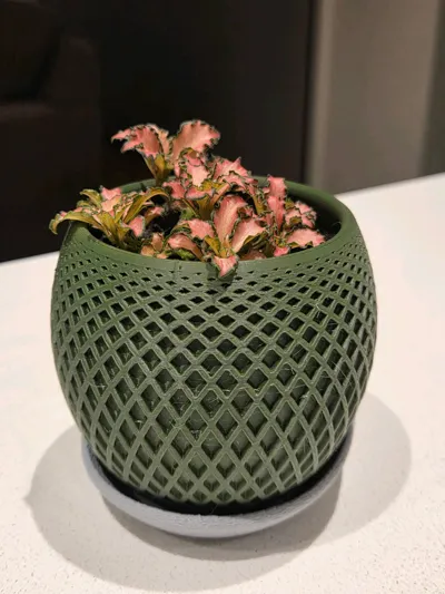 https://makerworld.bblmw.com/makerworld/model/474831/771413/ratings/d9fb4c10-5cbb-11f0-bc90-df2e442b5bf9.jpg