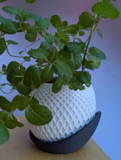 https://makerworld.bblmw.com/makerworld/model/474831/775584/ratings/749f0010-03fa-11f0-a7bc-6fdfc7230093.jpg