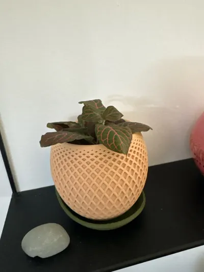 https://makerworld.bblmw.com/makerworld/model/474831/775584/ratings/7c524dc0-9f64-11f0-b204-735af74078fe.jpg
