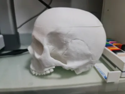 https://makerworld.bblmw.com/makerworld/model/477078/388097/ratings/226117a0-0cf3-11f0-a0c3-f51f78830c00.jpg