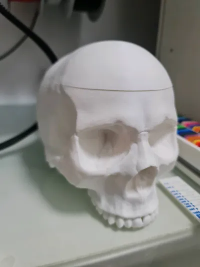 https://makerworld.bblmw.com/makerworld/model/477078/388097/ratings/2275ff30-0cf3-11f0-a0c3-f51f78830c00.jpg