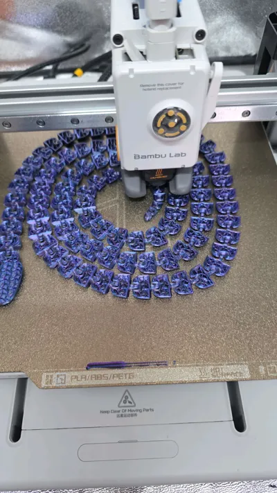 https://makerworld.bblmw.com/makerworld/model/477964/407006/ratings/2c06d000-9be7-11f0-b551-ed6f0bd33667.jpg