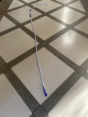 https://makerworld.bblmw.com/makerworld/model/477964/665402/ratings/c6e4e150-04d1-11f0-992a-c30f781058d9.jpg