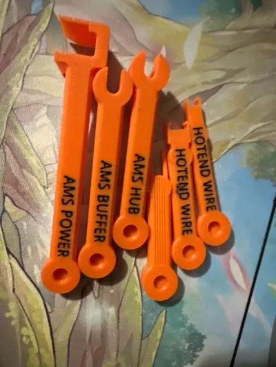 https://makerworld.bblmw.com/makerworld/model/478965/390252/ratings/06f83490-7eb7-11f0-b490-a950380a67ae.jpg