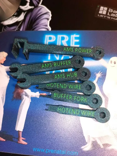 https://makerworld.bblmw.com/makerworld/model/478965/390252/ratings/2c0a3950-7501-11f0-b5a5-97a96429b714.jpg