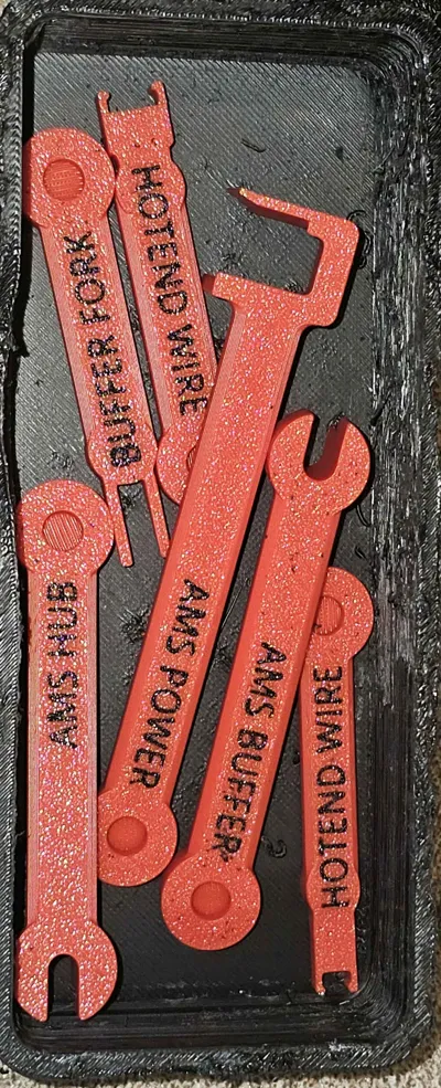 https://makerworld.bblmw.com/makerworld/model/478965/390252/ratings/a6cf1610-2556-11f0-be40-f956dee964dd.jpg