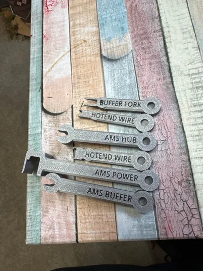 https://makerworld.bblmw.com/makerworld/model/478965/390252/ratings/d7a59c60-b0a6-11f0-9727-29e25229d331.jpg