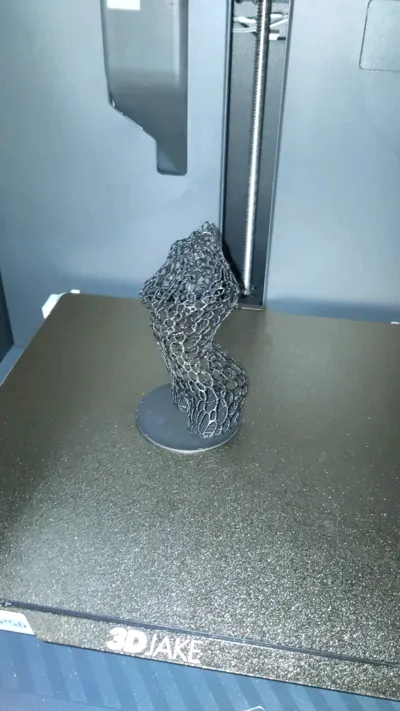 https://makerworld.bblmw.com/makerworld/model/479356/390728/ratings/2b977410-5fe9-11f0-ac89-2b1a4f55744a.jpg