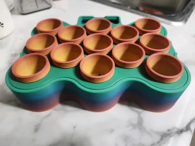 https://makerworld.bblmw.com/makerworld/model/479785/393205/ratings/fe636270-e6c4-11f0-8731-b7a4e7f59de2.jpg