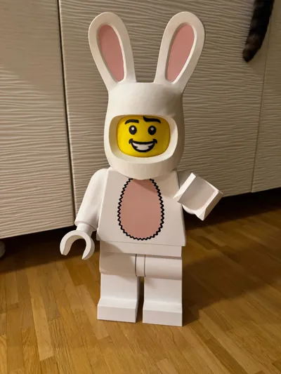 https://makerworld.bblmw.com/makerworld/model/48116/50020/ratings/98afd420-f16b-11f0-855a-27ff41cf2746.jpg