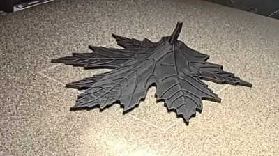 https://makerworld.bblmw.com/makerworld/model/481367/393124/ratings/31ba3380-861f-11f0-91e1-116418cf1b62.jpg