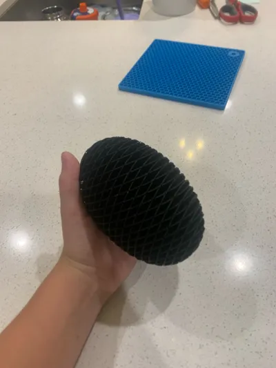 https://makerworld.bblmw.com/makerworld/model/482093/1069242/ratings/9998e720-91dd-11f0-856b-f13e31024c9d.jpg