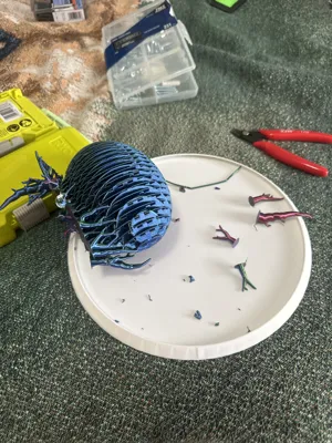https://makerworld.bblmw.com/makerworld/model/482093/1069242/ratings/c9633270-034a-11f0-b3cf-35e5062003d1.jpg