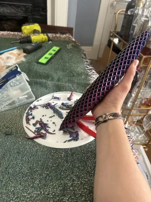 https://makerworld.bblmw.com/makerworld/model/482093/1069242/ratings/c9635982-034a-11f0-b3cf-35e5062003d1.jpg