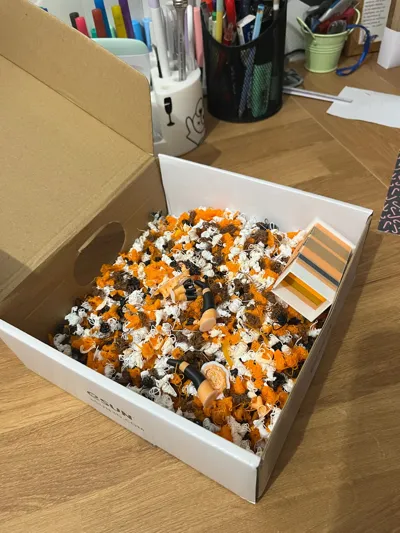 https://makerworld.bblmw.com/makerworld/model/482578/394614/ratings/012fae40-caec-11f0-96b1-252adb2ed622.jpg