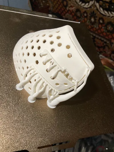 https://makerworld.bblmw.com/makerworld/model/484955/397374/ratings/373dd600-1184-11f0-9ba2-fd9771804816.jpg