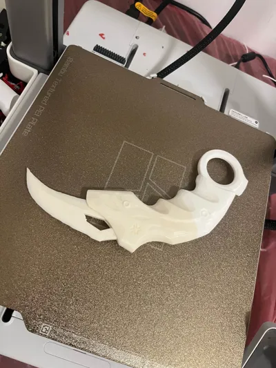 https://makerworld.bblmw.com/makerworld/model/486757/438662/ratings/0a41fc30-dbdc-11f0-8d8d-d5a07a85192d.jpg