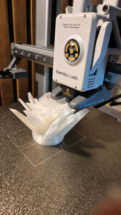 https://makerworld.bblmw.com/makerworld/model/487284/400081/ratings/018e1130-d9ae-11f0-9035-e714bdb1dbb4.jpg