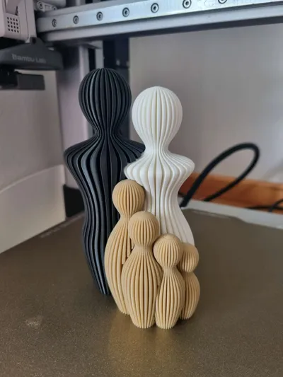 https://makerworld.bblmw.com/makerworld/model/487880/1706194/ratings/4229c120-958f-11f0-9973-e50ae3b3248d.jpg