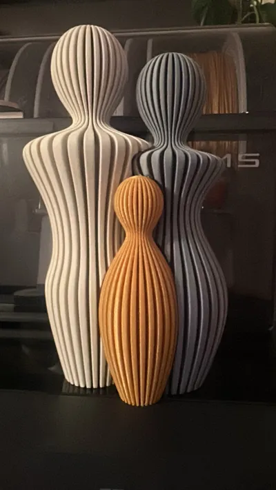 https://makerworld.bblmw.com/makerworld/model/487880/840081/ratings/95a646d0-e4f8-11f0-9b2e-9defad1f3b7a.jpg