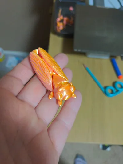 https://makerworld.bblmw.com/makerworld/model/488138/412908/ratings/64bfa580-f4d8-11f0-8a7c-833482de36f8.jpg