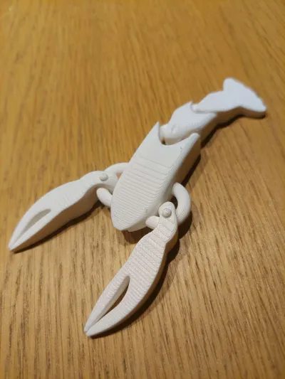 https://makerworld.bblmw.com/makerworld/model/490393/403809/ratings/51a3be20-caf1-11f0-aa81-47b26769ec82.jpg