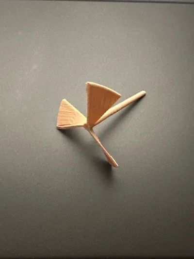 https://makerworld.bblmw.com/makerworld/model/490770/1044069/ratings/ce2435c0-2f64-11f0-930e-d19efabc4fcf.jpg
