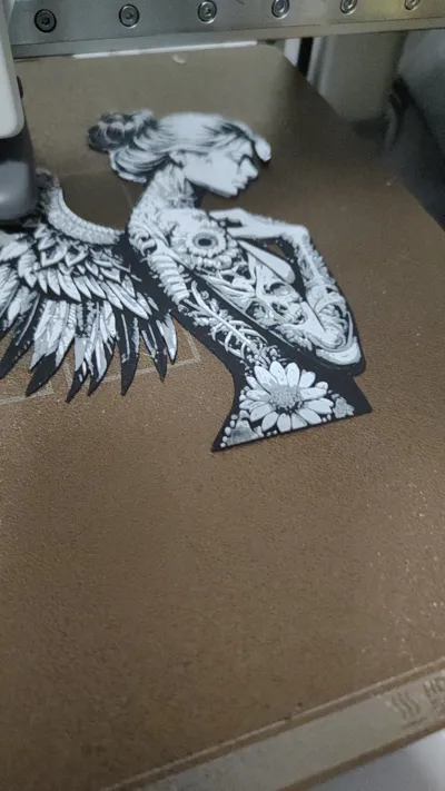 https://makerworld.bblmw.com/makerworld/model/491043/404525/ratings/e0ee4080-fc6d-11ef-8293-8f8a2eaeade0.jpeg