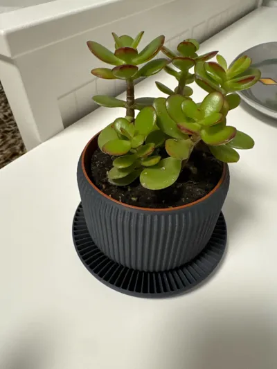 https://makerworld.bblmw.com/makerworld/model/491985/405580/ratings/4fdadf20-39a0-11f0-ab90-47d68215d82d.jpg