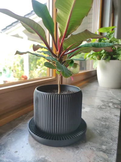 https://makerworld.bblmw.com/makerworld/model/491985/405580/ratings/d7c53310-5bc7-11f0-885a-67083047e5e3.jpg