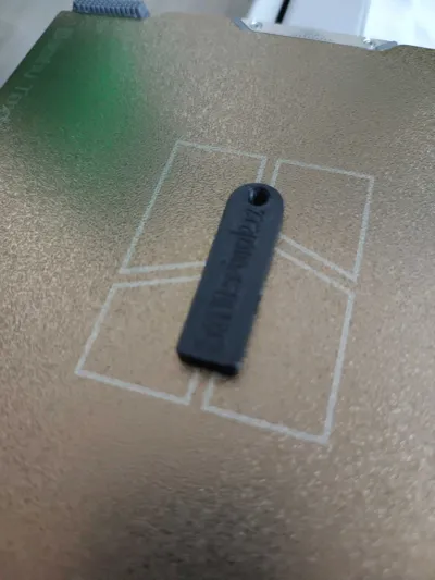 https://makerworld.bblmw.com/makerworld/model/494335/408284/ratings/88a86540-76de-11f0-851b-077743ba9384.jpg