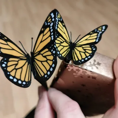 https://makerworld.bblmw.com/makerworld/model/495463/409614/ratings/1560a9c0-dc56-11f0-91c1-892e76cc7c1f.jpg