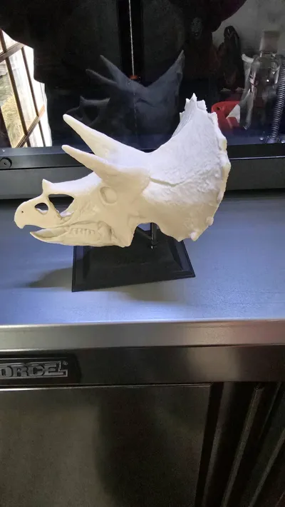 https://makerworld.bblmw.com/makerworld/model/495935/410189/ratings/379c5150-ef0d-11f0-b65a-ff9cfa1a7a5b.jpg