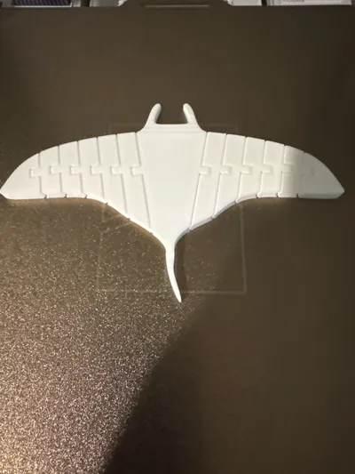https://makerworld.bblmw.com/makerworld/model/496631/410952/ratings/1e45b1b0-2ece-11f0-8b3e-f1c3e3cc44ce.jpg