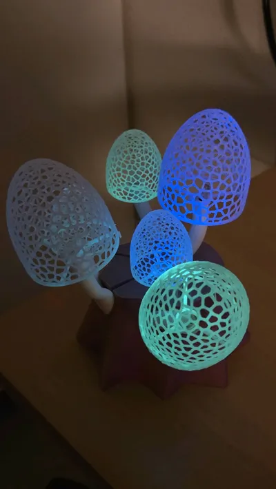 https://makerworld.bblmw.com/makerworld/model/496833/411205/ratings/cc1ad980-105d-11f0-8927-c11f1d10cd2b.jpg