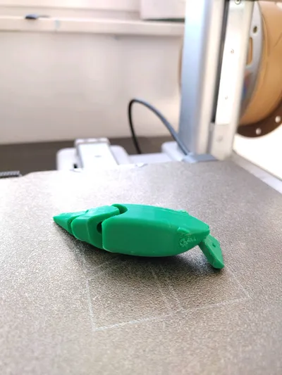 https://makerworld.bblmw.com/makerworld/model/496836/411198/ratings/e01e3690-0b24-11f0-8349-7f87f049c89d.jpg