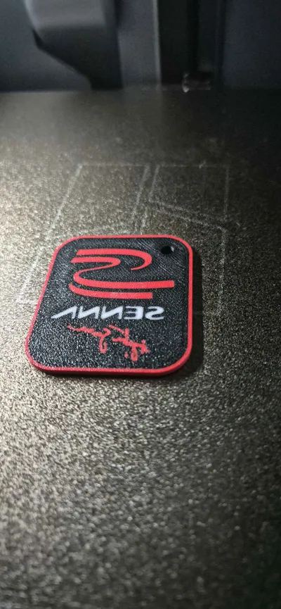 https://makerworld.bblmw.com/makerworld/model/496904/428617/ratings/22da6d80-aded-11f0-8d3f-375c8862a959.jpg