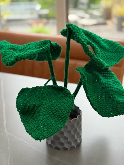 https://makerworld.bblmw.com/makerworld/model/497342/414265/ratings/0c688040-452f-11f0-aeff-3386c44a4f1c.jpg