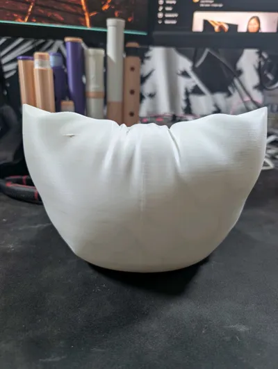 https://makerworld.bblmw.com/makerworld/model/497746/827080/ratings/b44bfdc0-e906-11f0-95bc-c9b5a9281076.jpg