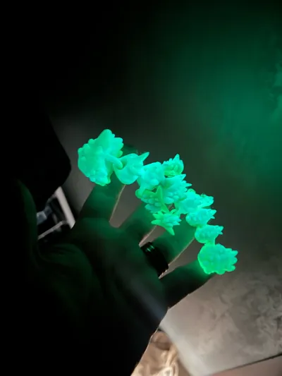 https://makerworld.bblmw.com/makerworld/model/498558/413409/ratings/04488fa0-1595-11f0-89d7-416f0f5210b1.jpg